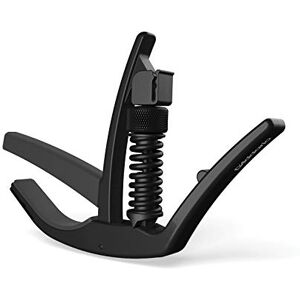 D'Addario / NS Artist Capo D'Addario / NS Artist Capo