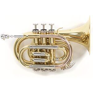 Roy Benson MOD.PT-302 BB Lacquered finish, Bell diameter 125 mm, Pocket Trumpet with Light Rectangular Case Roy Benson MOD.PT-302 BB Lacquered finish, Bell diameter 125 mm, Pocket Trumpet with Light Rectangular Case