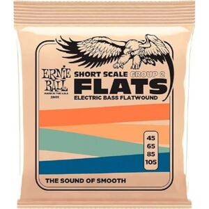 Ernie Ball Short Scale Flatwound Group 2 Electric Bass Strings 45-105 Gauge Ernie Ball Short Scale Flatwound Group 2 Electric Bass Strings 45-105 Gauge