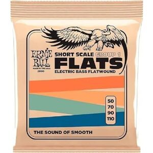 Ernie Ball Short Scale Flatwound Group 1 Electric Bass Strings 50-110 Gauge Ernie Ball Short Scale Flatwound Group 1 Electric Bass Strings 50-110 Gauge