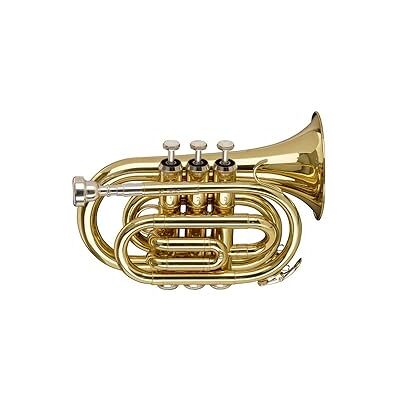 Stagg Bb Pocket Trumpet with case Brass Lacquer Stagg Bb Pocket Trumpet with case Brass Lacquer