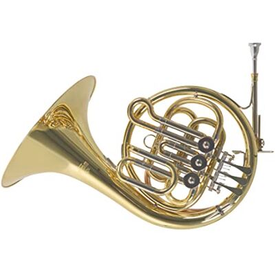 GEWA Roy Benson Kinder Bb Waldhorn MOD.HR212B lackiert mit Formetui GEWA Roy Benson Kinder Bb Waldhorn MOD.HR212B lackiert mit Formetui