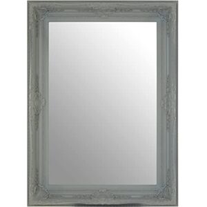 Premier Housewares Rectangular Wall Mirror/Classic Mirrors For Bathroom/Bedroom/Garden Walls Fancy Wall Mounted Mirrors For Hallway With Grey Finish 83 x 8 x 113 Premier Housewares Rectangular Wall Mirror/Classic Mirrors For Bathroom/Bedroom/Garden Walls Fancy Wall Mounted Mirrors For Hallway With Grey Finish 83 x 8 x 113