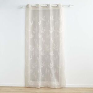 Douceur d'Intérieur , Net Curtain with Eyelets 140 x 240 cm Berry Taupe Embroidered Sandy Voile Douceur d'Intérieur , Net Curtain with Eyelets 140 x 240 cm Berry Taupe Embroidered Sandy Voile