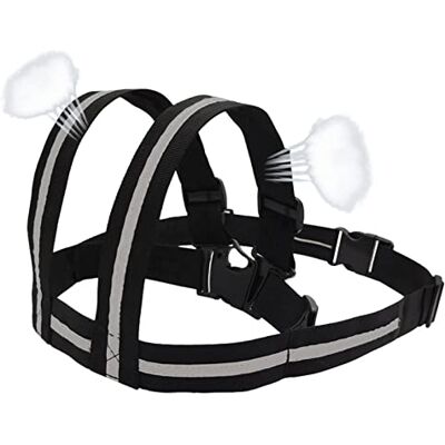 Jomewory Kids Motorcycle Harness Adjustable Child Motorcycle Safety Seat Belt with Handles Reflective Strip Motorbike Child Safety Harness for Children, Boys and Girls Jomewory Kids Motorcycle Harness Adjustable Child Motorcycle Safety Seat Belt with Handles Reflective Strip Motorbike Child Safety Harness for Children, Boys and Girls