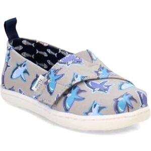 TOMS Boy's Classic Alpargata Loafer Flat, Drizzle Grey Glow in the Dark Great White Shark, 5 UK Child TOMS Boy's Classic Alpargata Loafer Flat, Drizzle Grey Glow in the Dark Great White Shark, 5 UK Child