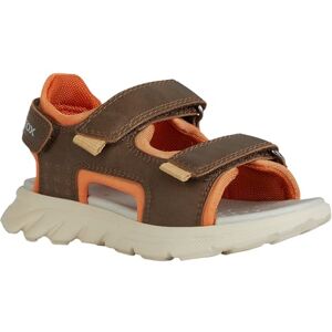 Geox Boys J Airadyum Bo Sandal, Brown Dk Orange, 7 UK Child Geox Boys J Airadyum Bo Sandal, Brown Dk Orange, 7 UK Child