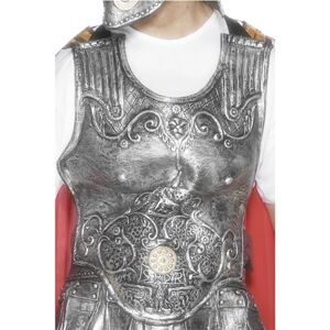 Smiffys Roman Armour Breastplate, Silver Deluxe, Latex, Legends & Myths Fancy Dress, Historical Dress Up Accessories Halloween Smiffys Roman Armour Breastplate, Silver Deluxe, Latex, Legends & Myths Fancy Dress, Historical Dress Up Accessories Halloween