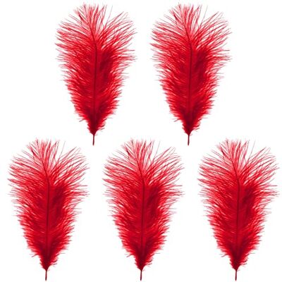 Trimming Shop 14-16inch(35-40cm) Red Ostrich Feathers Plume for Wedding Table Centrepieces Home Decoration Decorating Costumes Headdresses Showgirl Spadones, Pack of 5 Trimming Shop 14-16inch(35-40cm) Red Ostrich Feathers Plume for Wedding Table Centrepieces Home Decoration Decorating Costumes Headdresses Showgirl Spadones, Pack of 5