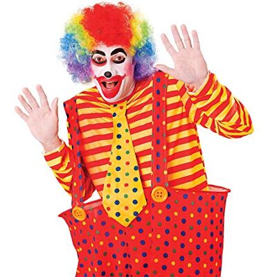 Bristol Novelty BW113 Clown Pop Wig Rainbow Multicolor Budget, One Size Halloween Bristol Novelty BW113 Clown Pop Wig Rainbow Multicolor Budget, One Size Halloween