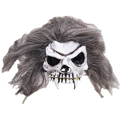 Bristol Novelty BM282 Skull Half Face Mask and Hair, Unisex-Adult, Grey, One Size Halloween Bristol Novelty BM282 Skull Half Face Mask and Hair, Unisex-Adult, Grey, One Size Halloween
