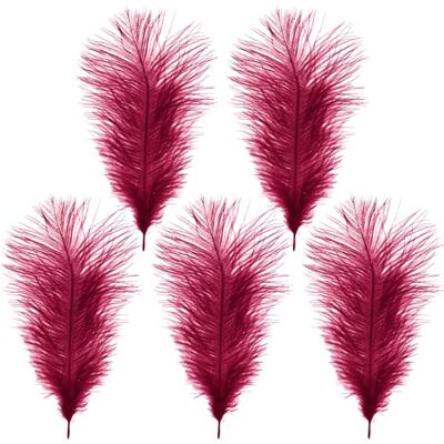 Trimming Shop 14-16inch(35-40cm) Burgundy Ostrich Feathers Plume for Wedding Table Centrepieces Home Decoration Decorating Costumes Headdresses Showgirl Spadones, Pack of 5 Trimming Shop 14-16inch(35-40cm) Burgundy Ostrich Feathers Plume for Wedding Table Centrepieces Home Decoration Decorating Costumes Headdresses Showgirl Spadones, Pack of 5