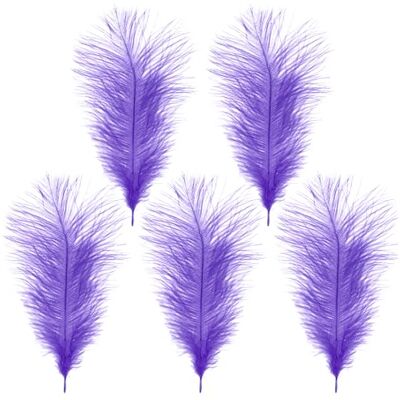 Trimming Shop 14-16inch(35-40cm) Lilac Purple Ostrich Feathers Plume for Wedding Table Centrepieces Home Decoration Decorating Costumes Headdresses Showgirl Spadones, Pack of 5 Trimming Shop 14-16inch(35-40cm) Lilac Purple Ostrich Feathers Plume for Wedding Table Centrepieces Home Decoration Decorating Costumes Headdresses Showgirl Spadones, Pack of 5