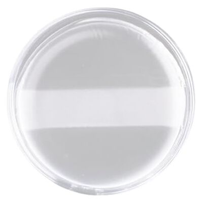PFCORI Silicone Cosmetic Puff for Salon and Home Use Smooth Application Design Maintains Shape After Washing Silicone Concealer Blending PFCORI Silicone Cosmetic Puff for Salon and Home Use Smooth Application Design Maintains Shape After Washing Silicone Concealer Blending