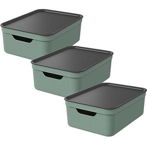 Rotho Jive Dekobox Set of 3 storage box 10l with lid, Plastic (PP recycled), 10l (37.5 x 27.8 x 13.5 cm), Green Rotho Jive Dekobox Set of 3 storage box 10l with lid, Plastic (PP recycled), 10l (37.5 x 27.8 x 13.5 cm), Green