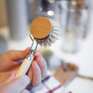 Chinchilla Washing up Brush Handle + 1 Head, Beech wood, Brown, Spülbürste + Griff + 1 Wechselkopf Chinchilla Washing up Brush Handle + 1 Head, Beech wood, Brown, Spülbürste + Griff + 1 Wechselkopf