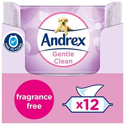 Andrex Gentle Fragrance Free Flushable Toilet Wipes certified 'Fine to Flush' Plastic Biodegradeable 12 Moist Toilet Tissue Packs, Pink, Unscented, 480 count Andrex Gentle Fragrance Free Flushable Toilet Wipes certified 'Fine to Flush' Plastic Biodegradeable 12 Moist Toilet Tissue Packs, Pink, Unscented, 480 count