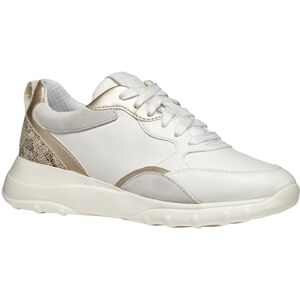 Geox Women's D Alleniee A Sneaker, Optic White Lt Gold, 4 UK Geox Women's D Alleniee A Sneaker, Optic White Lt Gold, 4 UK