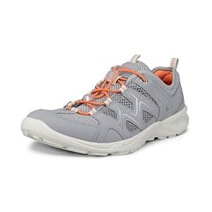 ECCO Terracruise Lt, Women’s Low Rise Hiking Shoes, (Silver Grey/Silver Metallic 59105), 6 UK (39 EU) ECCO Terracruise Lt, Women’s Low Rise Hiking Shoes, (Silver Grey/Silver Metallic 59105), 6 UK (39 EU)