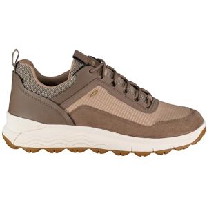 Geox Womens Dspherica4x4babx Sneaker, Beige, 2.5 UK Geox Womens Dspherica4x4babx Sneaker, Beige, 2.5 UK