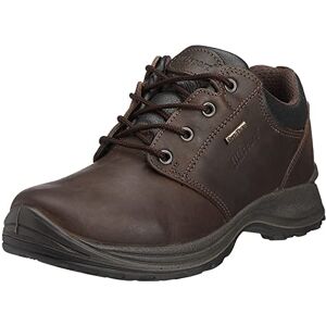 Grisport Women's Exmoor Hiking Shoe Brown CMG625 4 UK Grisport Women's Exmoor Hiking Shoe Brown CMG625 4 UK