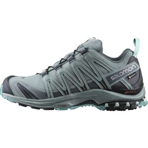 Salomon XA PRO 3D GTX W, Women’s Trail Running Shoes, Grey (Lead/Stormy Weather/Meadowbrook Ld/StormyWthr/Mdowbrook), 3.5 (36 EU) Salomon XA PRO 3D GTX W, Women’s Trail Running Shoes, Grey (Lead/Stormy Weather/Meadowbrook Ld/StormyWthr/Mdowbrook), 3.5 (36 EU)