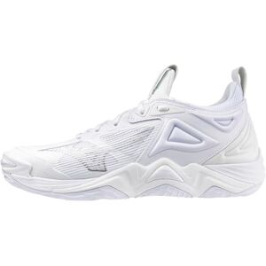 Mizuno Wave Momentum 3 Women's Volleyball Shoe, Volleyball Shoes Women, White and Silver, 7 UK Mizuno Wave Momentum 3 Women's Volleyball Shoe, Volleyball Shoes Women, White and Silver, 7 UK