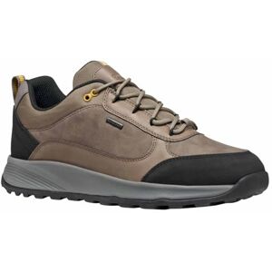 Geox Men's U Terrestre B ABX Trainers, Grey, 42 EU, Gray, 8 UK Geox Men's U Terrestre B ABX Trainers, Grey, 42 EU, Gray, 8 UK