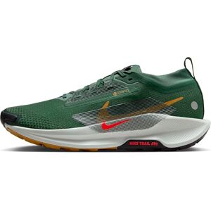 Nike Men's Pegasus Trail 5 Gore-TEX Sneaker, Fir Bright Crimson Clay Green, 8.5 UK Nike Men's Pegasus Trail 5 Gore-TEX Sneaker, Fir Bright Crimson Clay Green, 8.5 UK