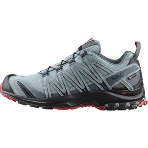 Salomon XA PRO 3D GTX, Men’s Trail Running Shoes, Grey (Lead/Black/Barbados Cherry Lead/Black/Barbados Cherry), 12 (47 1/3 EU) Salomon XA PRO 3D GTX, Men’s Trail Running Shoes, Grey (Lead/Black/Barbados Cherry Lead/Black/Barbados Cherry), 12 (47 1/3 EU)