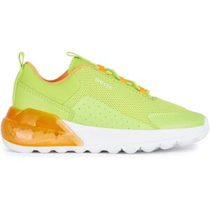 Geox Boys J Activart Illuminus Sneaker, Lime, 7.5 UK Child Geox Boys J Activart Illuminus Sneaker, Lime, 7.5 UK Child