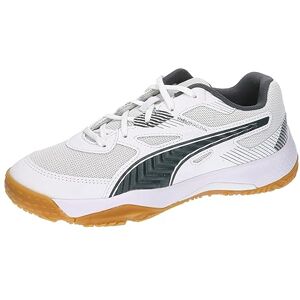 Puma Unisex Youth Solarflash Jr Ii Indoor Court Shoes, White-Shadow Gray-Gum, 11 UK Puma Unisex Youth Solarflash Jr Ii Indoor Court Shoes, White-Shadow Gray-Gum, 11 UK