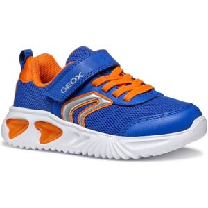 Geox J Assister BOY C Sneaker, Royal/Orange, 4.5 UK Geox J Assister BOY C Sneaker, Royal/Orange, 4.5 UK