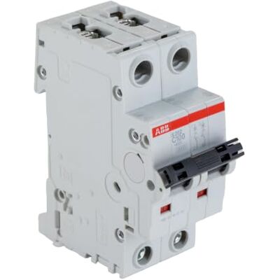 ABB S202-C100 Miniature Circuit Breaker, 2 Pole, Type C, 6/10kA Breaking Capacity, 100 Amp Current (2CDS252001R0824) ABB S202-C100 Miniature Circuit Breaker, 2 Pole, Type C, 6/10kA Breaking Capacity, 100 Amp Current (2CDS252001R0824)
