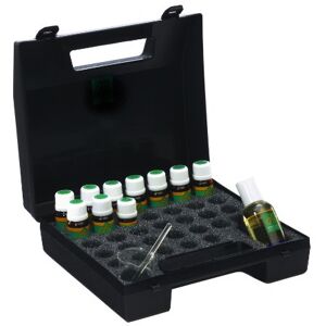 Absolute Aromas Aromatherapy Starter Kit Complete with 10 Essential Oils and 50ml Almond Oil in a Plastic Storage case, Includes Bergamot, Eucalyptus, Lavender & Tea Tree Absolute Aromas Aromatherapy Starter Kit Complete with 10 Essential Oils and 50ml Almond Oil in a Plastic Storage case, Includes Bergamot, Eucalyptus, Lavender & Tea Tree