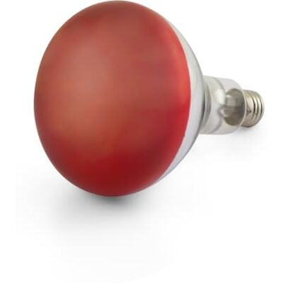 Elitzia 275W Infrared Bulb Heating Insulation Bulb Bath Bulb Heating Replacement Lamp Keep Warm Heating Bulbs Beauty Salon Drying ETIR1738 Elitzia 275W Infrared Bulb Heating Insulation Bulb Bath Bulb Heating Replacement Lamp Keep Warm Heating Bulbs Beauty Salon Drying ETIR1738