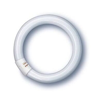 OSRAM L22 W/865 C Circular Fluorescent Tube L22/865-22 W OSRAM L22 W/865 C Circular Fluorescent Tube L22/865-22 W