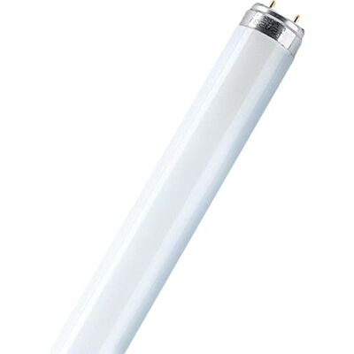 OSRAM L 18 Watt Fluorescent Lamp 840 25 Pieces OSRAM L 18 Watt Fluorescent Lamp 840 25 Pieces