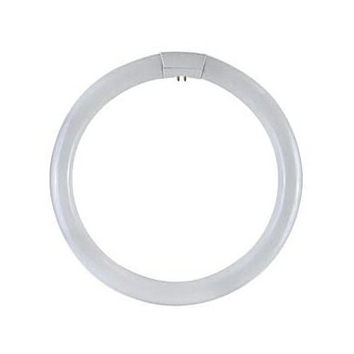 OSRAM 3286T Circular Neon Bulb, 32 W, T9, G10Q, 6500 K OSRAM 3286T Circular Neon Bulb, 32 W, T9, G10Q, 6500 K