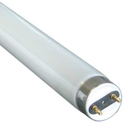 Philips Branded T8 Fluorescent Tubes (Pack of 6) 2ft,4ft,5ft,6ft 18w,36w,58w,70w FREE P&P 840 Cool White (4ft 36w) Philips Branded T8 Fluorescent Tubes (Pack of 6) 2ft,4ft,5ft,6ft 18w,36w,58w,70w FREE P&P 840 Cool White (4ft 36w)