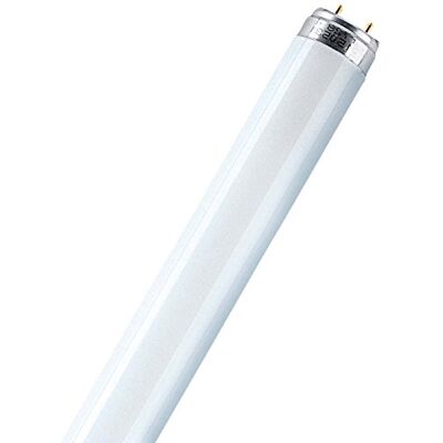 OSRAM Fluorescent Light L 30 Watt 865 Daylight 30 W OSRAM Fluorescent Light L 30 Watt 865 Daylight 30 W