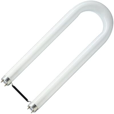 CASELL F36UT8-835-CA U-Tube Fluorescent 525mm Long 36w T8 White/835 CASELL F36UT8-835-CA U-Tube Fluorescent 525mm Long 36w T8 White/835