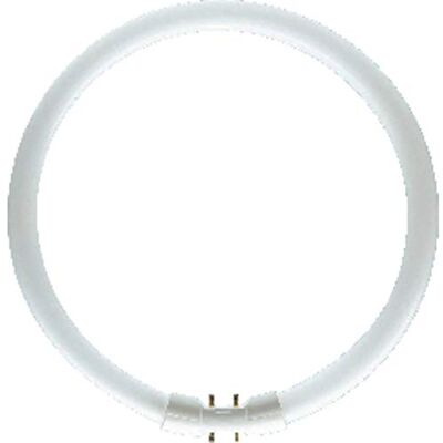 OSRAM 22 Watt Lumilux T5 Fluorescent Lamps Socket OSRAM 22 Watt Lumilux T5 Fluorescent Lamps Socket