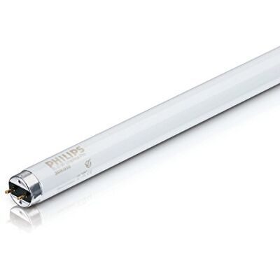 Philips – Master TL-D 90 Graphica 36 W/950 SLV/10 Philips – Master TL-D 90 Graphica 36 W/950 SLV/10