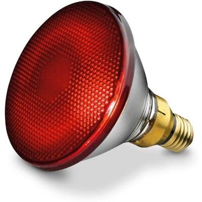 Beurer Infra Red Bulb 150 W IT 21 30 Beurer Infra Red Bulb 150 W IT 21 30