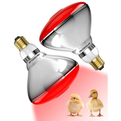 HeatingLux Infrared Lamp Bulb, 250W Heat Lamp Bulb for Chicken, E27 Heat Lamp HeatingLux Infrared Lamp Bulb, 250W Heat Lamp Bulb for Chicken, E27 Heat Lamp