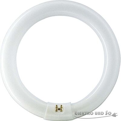 Philips Phi.LM Leuchtstofflampe 32W nws ringförmig TL-E 32W/840 Philips Phi.LM Leuchtstofflampe 32W nws ringförmig TL-E 32W/840