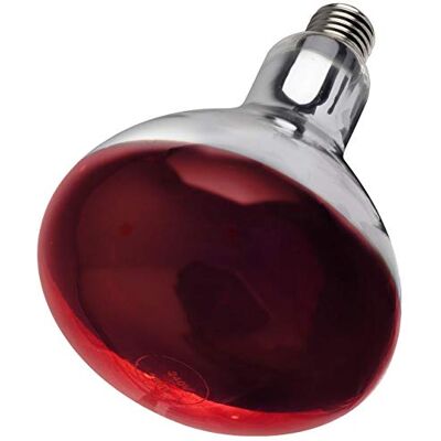 Other INTELEC HARD GLASS INFRA-RED BULB 250W, TSK0215 Other INTELEC HARD GLASS INFRA-RED BULB 250W, TSK0215