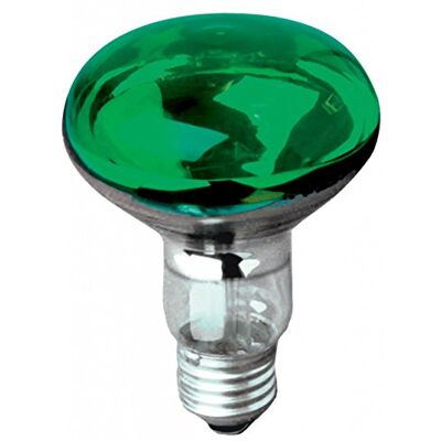 Electrovision 60 W ES/E27 R080 Reflector Lamp Green Electrovision 60 W ES/E27 R080 Reflector Lamp Green