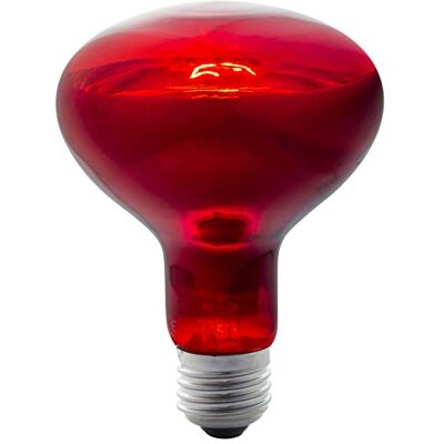 Long Life Lamp Company Reptile and Poultry 50w Infrared Heat Lamp Bulb ES E27 Edison Screw Brooding Basking Spot Light Long Life Lamp Company Reptile and Poultry 50w Infrared Heat Lamp Bulb ES E27 Edison Screw Brooding Basking Spot Light